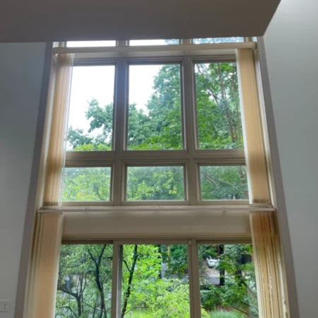 glass-window-with-white-frames-and-trees-outside